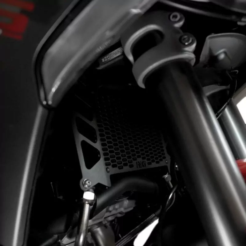 R&G Kühlergitter Schutz PRO Ölkühler Ducati Multistrada V4|V4S|Pikes Peak|RS|Rally 2021-