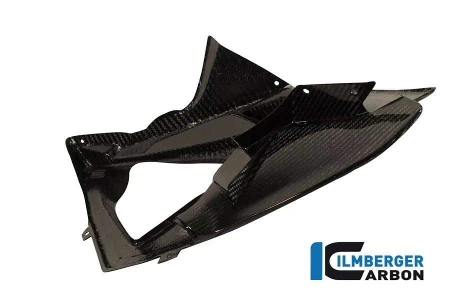 Ilmberger Carbon Verkleidungsseitenteil links Racing Carbon