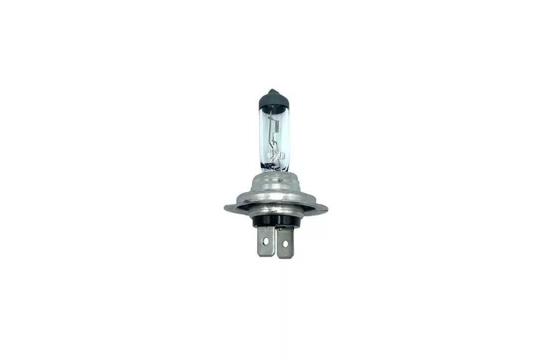LAMPE 12V 55W PX26D T10X58 C-8 H7 UV-STOPP - LF