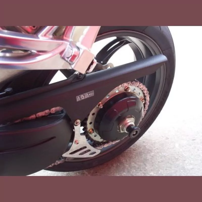 R&G Schwingen Protektoren Triumph Daytona 600 / 650 / TT 600