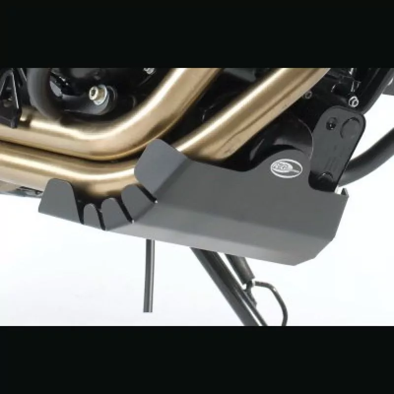 R&G Racing Motor Schutz Platte BMW F 700 GS 2013-