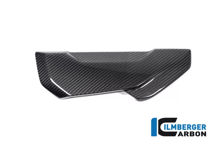 Ilmberger Carbon Soziussitzabdeckung glänzend BMW S1000R 2020- M1000R 2023-