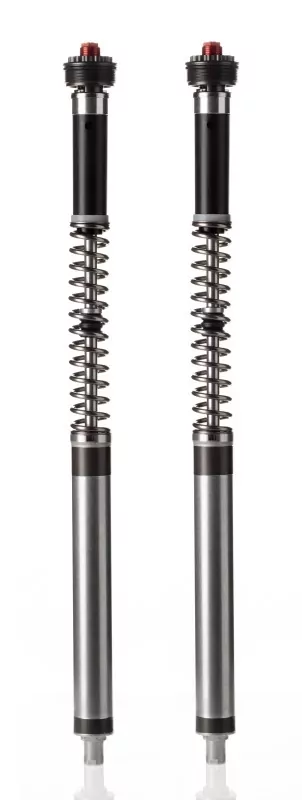 Wilbers Closed Cartridge-Set C30R BMW S1000R