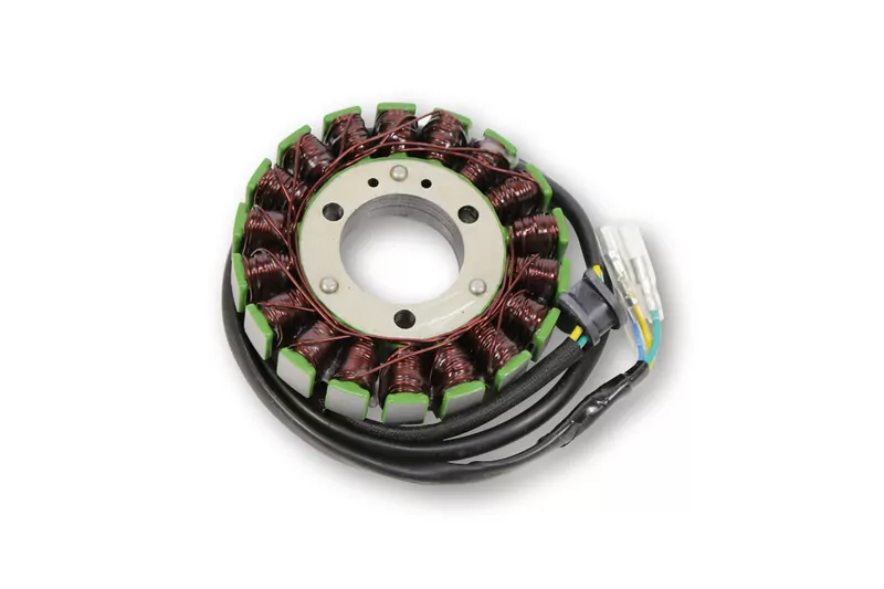 ElectroSport Stator ESG024 für Lichtmaschine