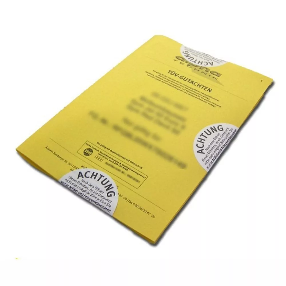 alpha Technik Leistungssteigerung für Triumph Daytona 1200 T300D