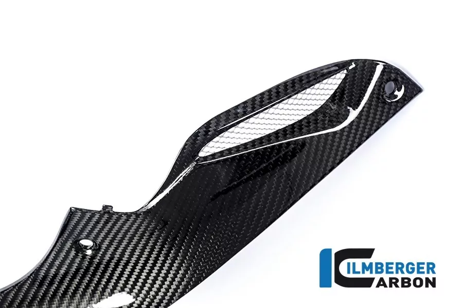 Ilmberger Carbon Seitendeckel rechts am Tank Racing Carbon