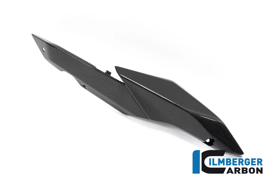 Ilmberger Carbon Seitendeckel am Sitz rechts Carbon für BMW R1250R R1250RS 2019-