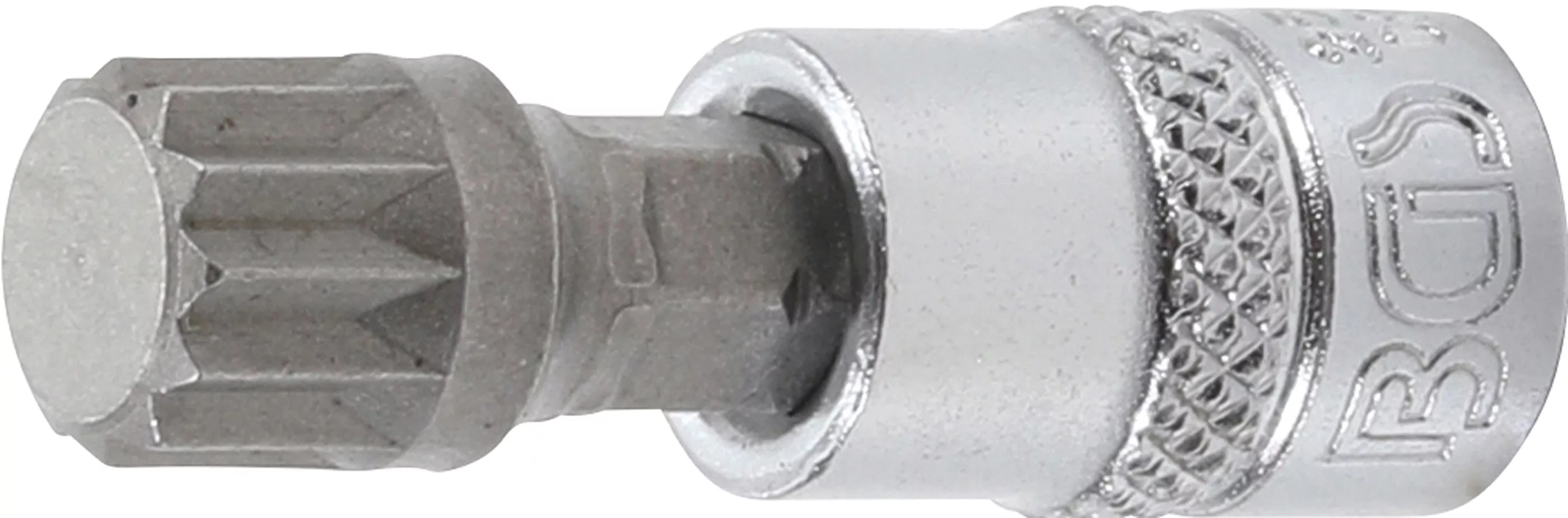 Bit-Einsatz | Antrieb Innenvierkant 6,3 mm (1/4") | Innenvielzahn (für XZN) M10