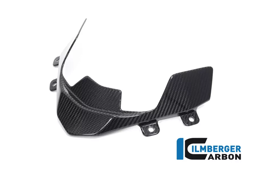 Ilmberger Carbon Windabdeckung Cockpit glänzend BMW S1000XR 2020- M1000XR 2024-