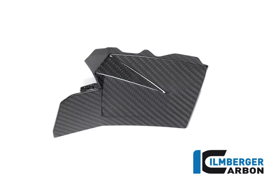 Ilmberger Carbon Abdeckung rechts neben Cockpit BMW S1000XR 2020- M1000XR 2024-