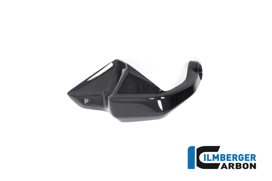 Handprotector links Carbon für BMW R 1250 GS ab 2019
