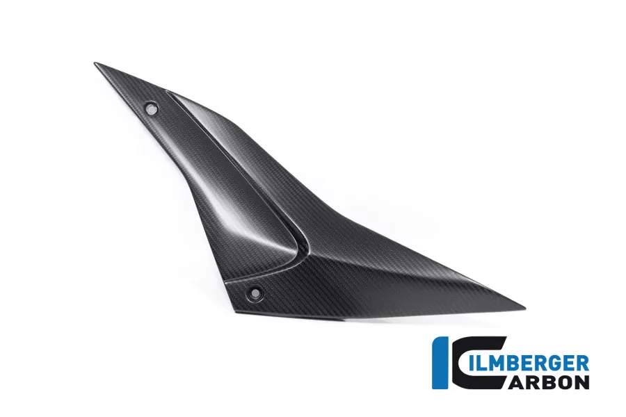 Ilmberger Carbon Seitendeckel links matt für Aprilia RSV4 / Tuono V4 2021-