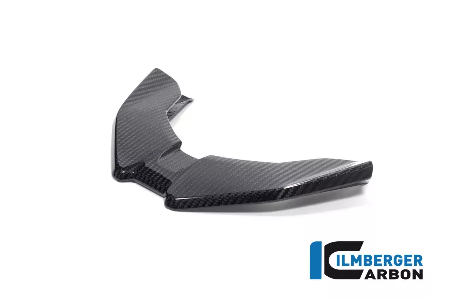 Ilmberger Carbon Schnabel vorne BMW M1000XR S1000XR ab 2024-