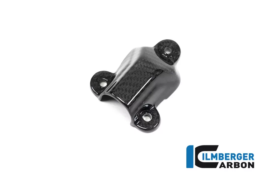 Ilmberger Carbon Wasserpumpendeckelabdeckung BMW S1000RR 2019-  M1000RR 2020- M1000R 2023-