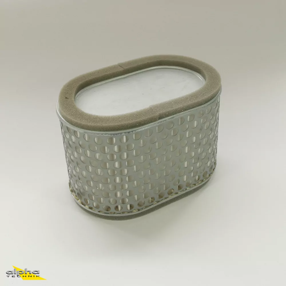 Fuji Luftfilter fürSuzuki TL 1000 S