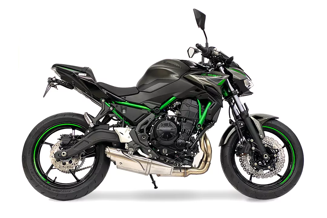 alpha Technik Kennzeichenhalter für Kawasaki Z650 und Ninja 650 ab Modelljahr 2017-
