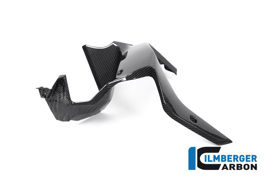 Luftauslassverkleidung links Carbon für BMW R1250GS Adventure ab 2019