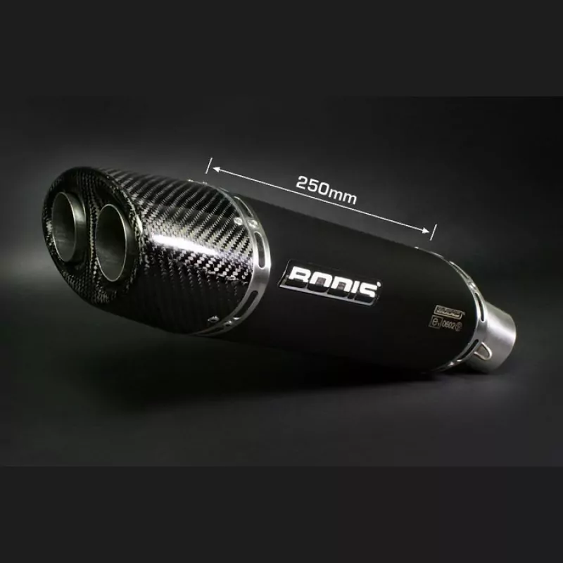 Bodis Q1 Endschalldämpfer Triumph Daytona 675 2006-2012