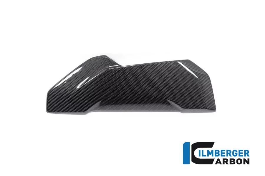 Ilmberger Carbon Soziussitzabdeckung glänzend BMW S1000R 2020- M1000R 2023-