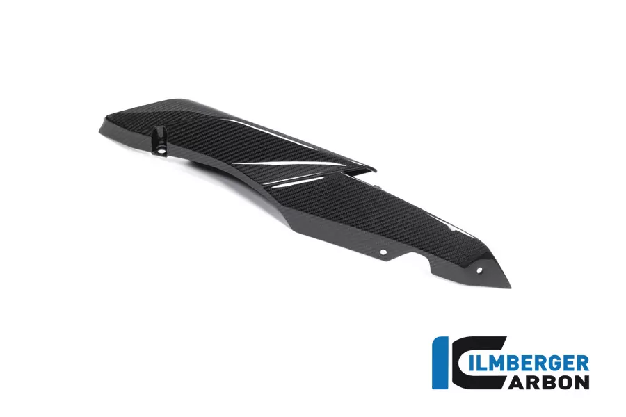 Ilmberger Carbon Seitendeckel am Sitz links Carbon für BMW R1250R R1250RS 2019-