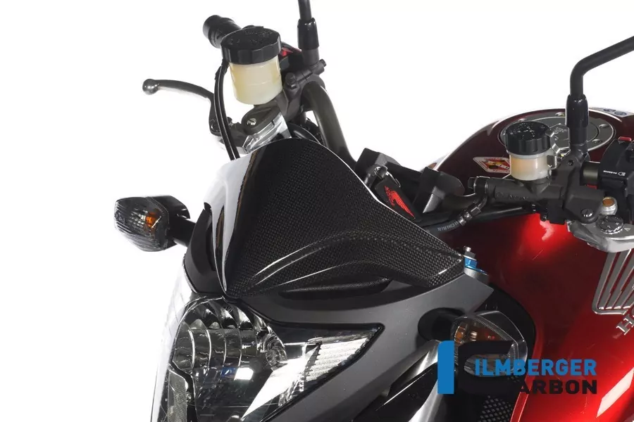 Ilmberger Carbon Windschild Carbon