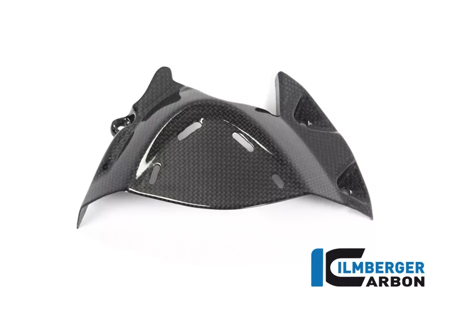 Ilmberger Carbon Ritzelabdeckung  glänzend Ducati Monster 1200 1200S 2017-