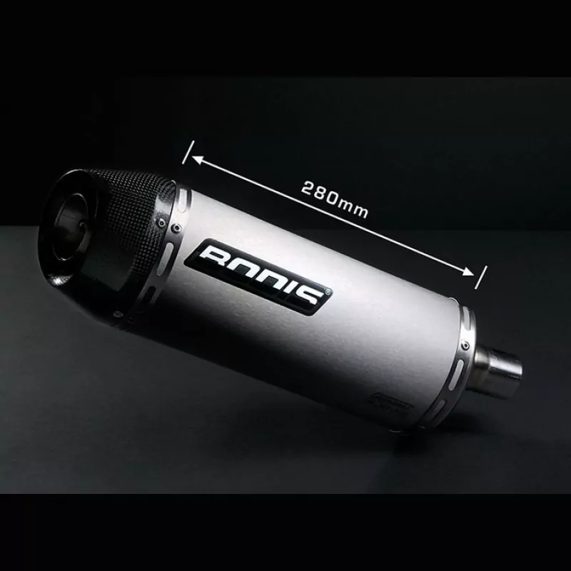 Bodis Oval Tec Auspuff Triumph 675 Street Triple 2007-2012