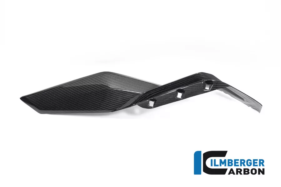 Ilmberger Carbon Seitendeckel am Tank (unten) rechts glänzend BMW S1000XR 2020- M1000XR 2024-