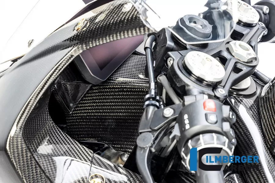 Ilmberger Carbon Instrumententräger / Verkleidungshalter für BMW S1000RR ab Modelljahr 2019- und M1000RR ab Modelljahr 2020-