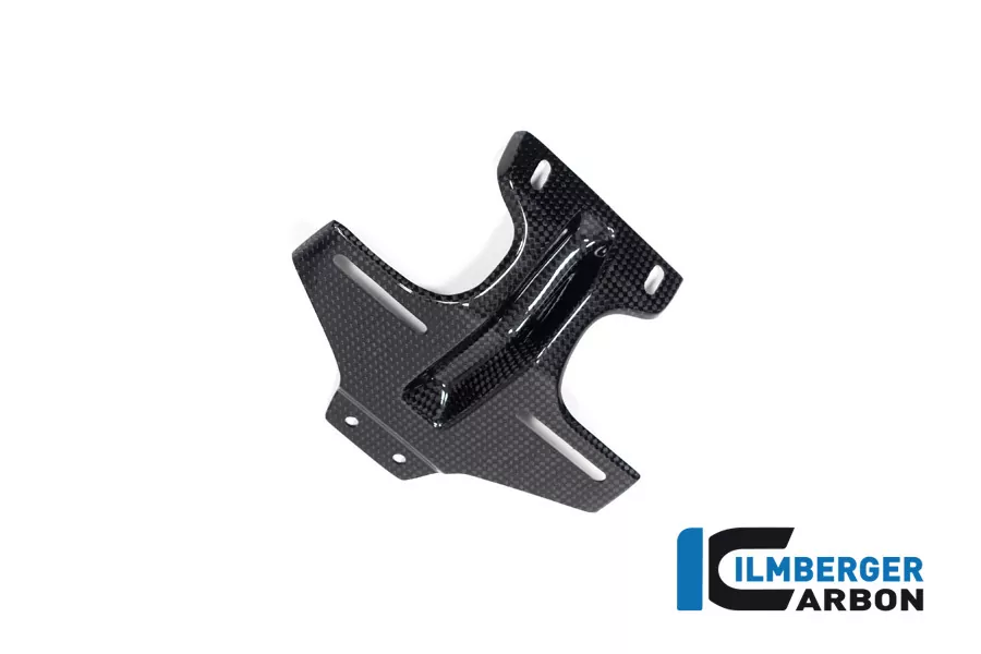 Verkleidungswinglet links aus Carbon für BMW M1000RR ab Modelljahr 2020-