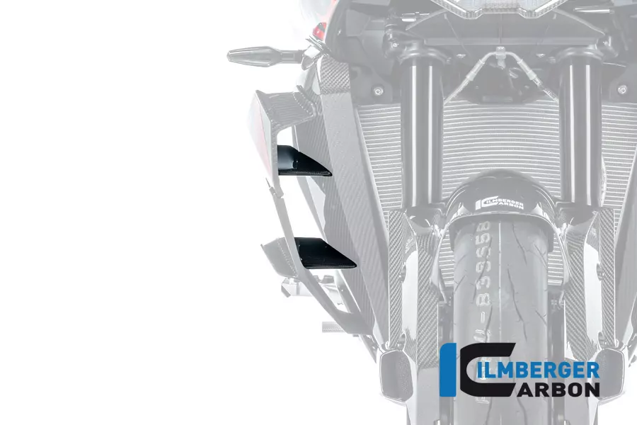 Ilmberger Carbon Winglet innen rechts BMW M1000XR S1000XR ab 2024-