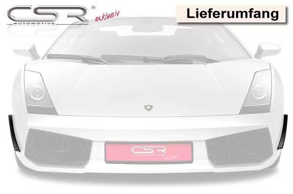 Performance Flaps für Lamborghini Gallardo FP001