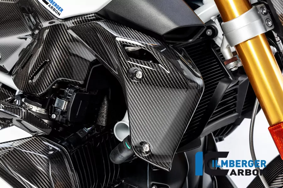 Wasserkühlerabdeckung rechts Carbon für BMW R 1250 R (LC) 2019