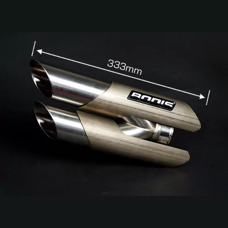 Bodis Duobolico Endschalldämpfer Triumph Street Triple 675 2013-2016