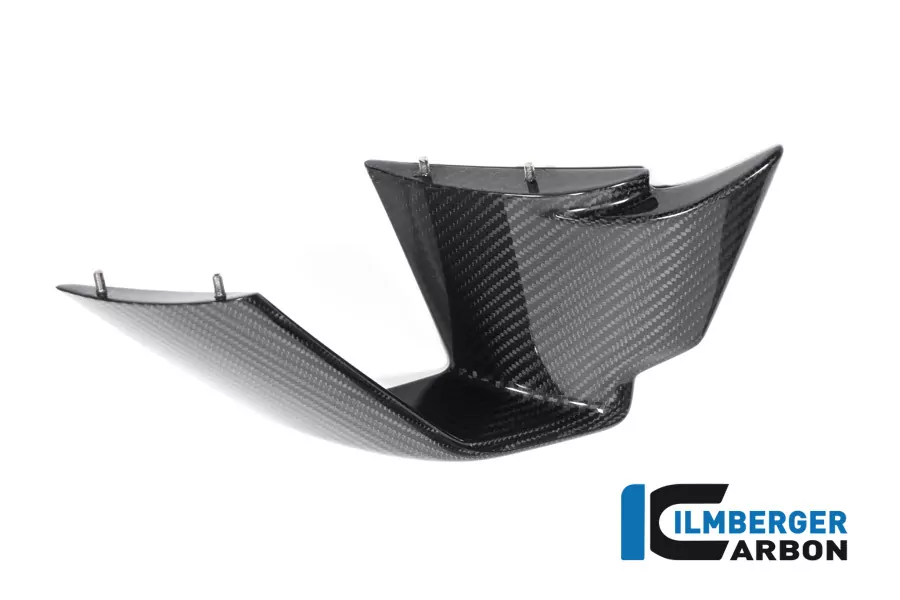 Verkleidungswinglet links aus Carbon für BMW M1000RR ab Modelljahr 2021-