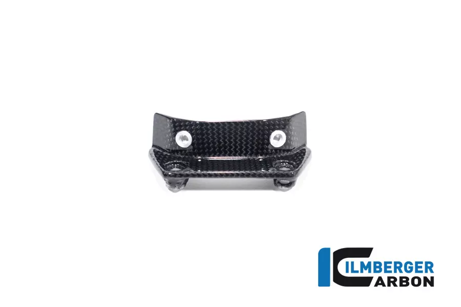 Ilmberger Carbon Windschild glänzend Ducati Diavel V4  2023-