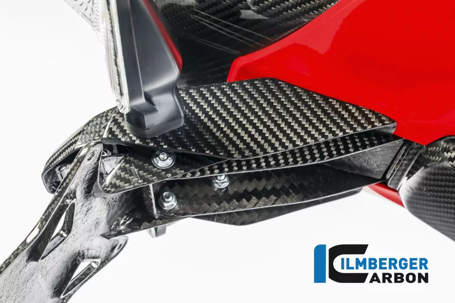 Ilmberger Carbon Kennzeichenträger Carbon
