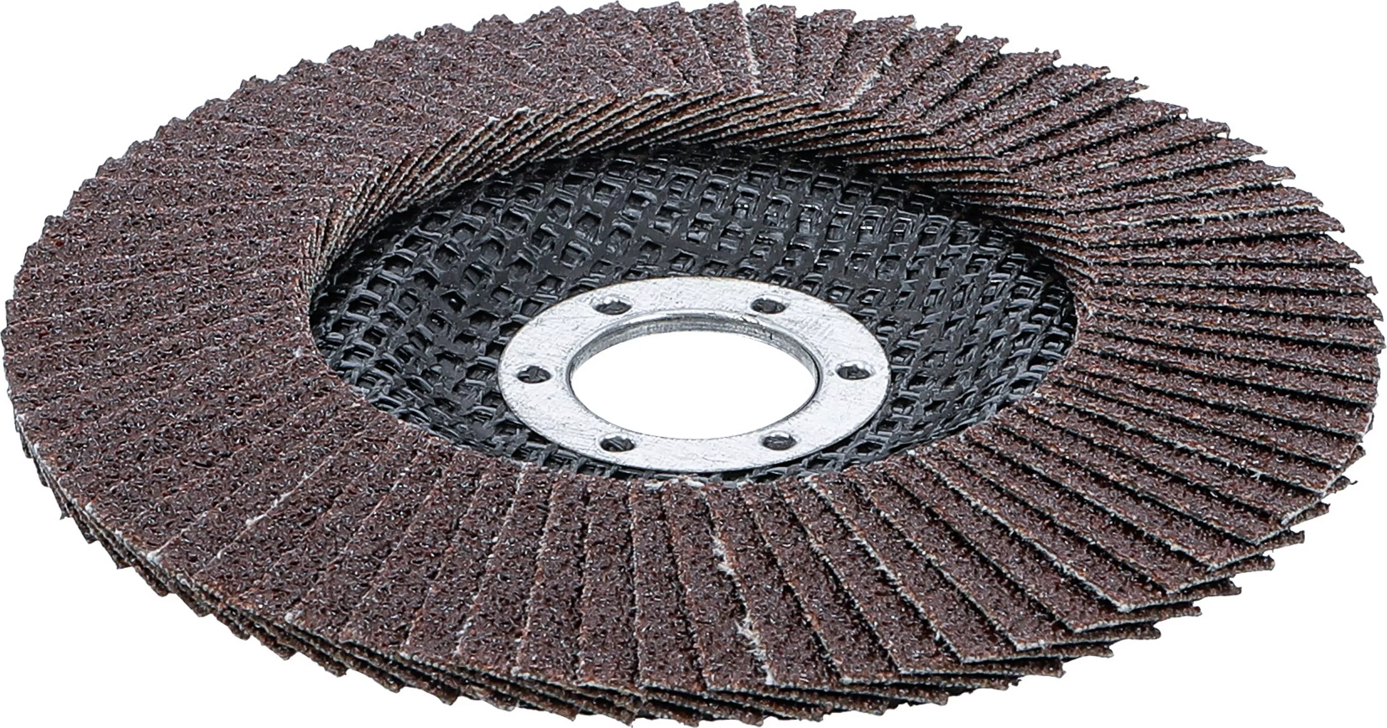 Fächer-Schleif-Scheibe | Ø 125 mm | K 60