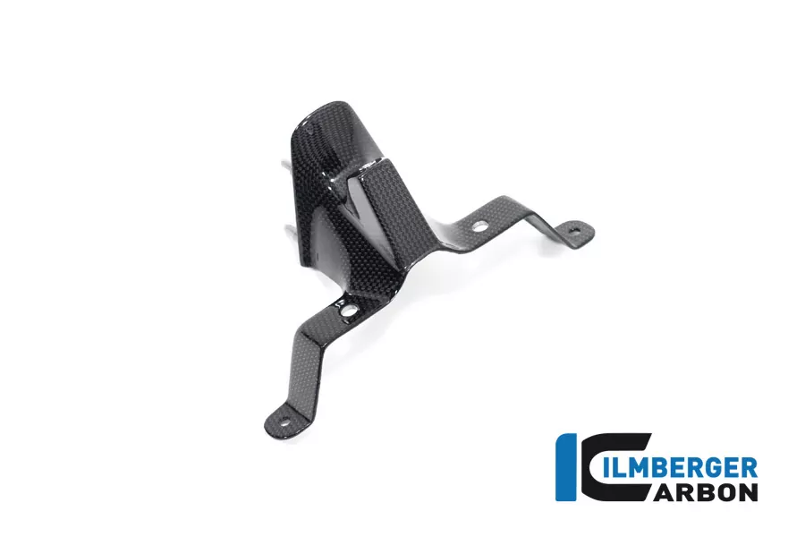 Ilmberger Carbon Armaturenabdeckung glanz für Ducati Streetfighter V4 2020-