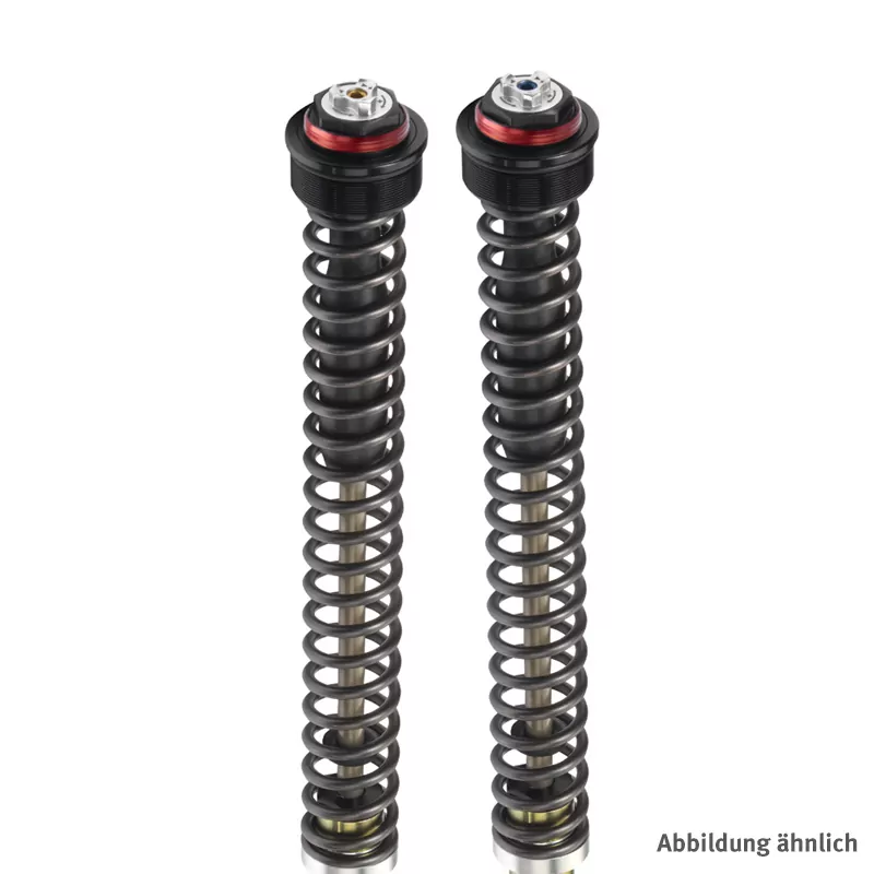 BITUBO JBH Gabeldämpfer-Kit für Ducati Hypermotard 950 2019-