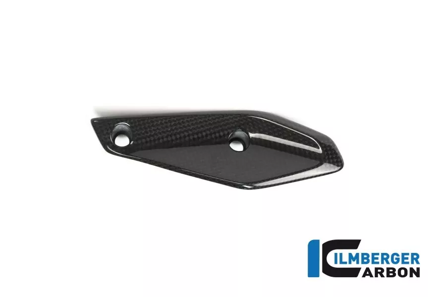 Ilmberger Carbon Verkleidungswinglet links