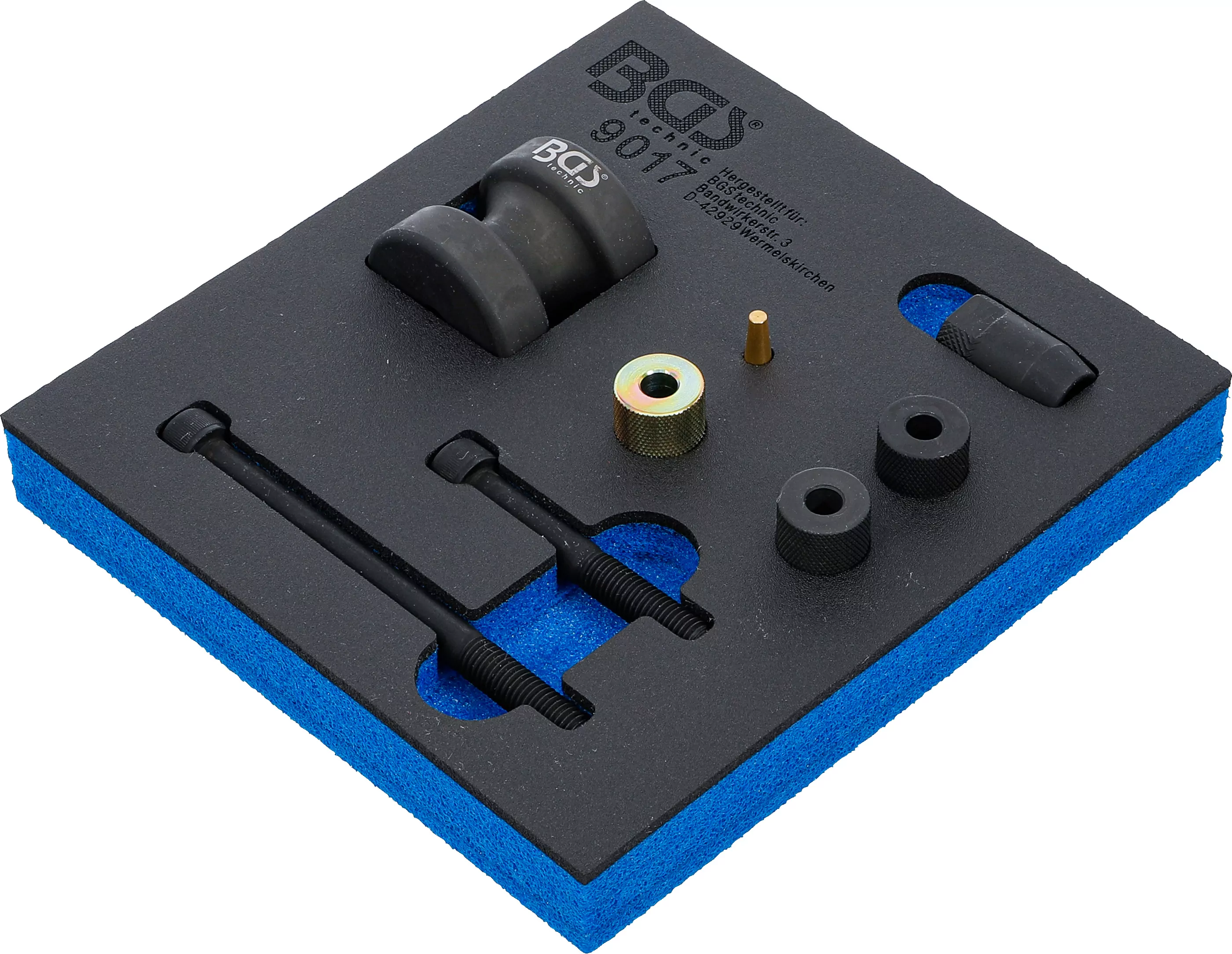 Werkstattwageneinlage 1/6: Einspritzdüsen-Demontage-Satz | für BMW Benzin-Direkteinspritzer