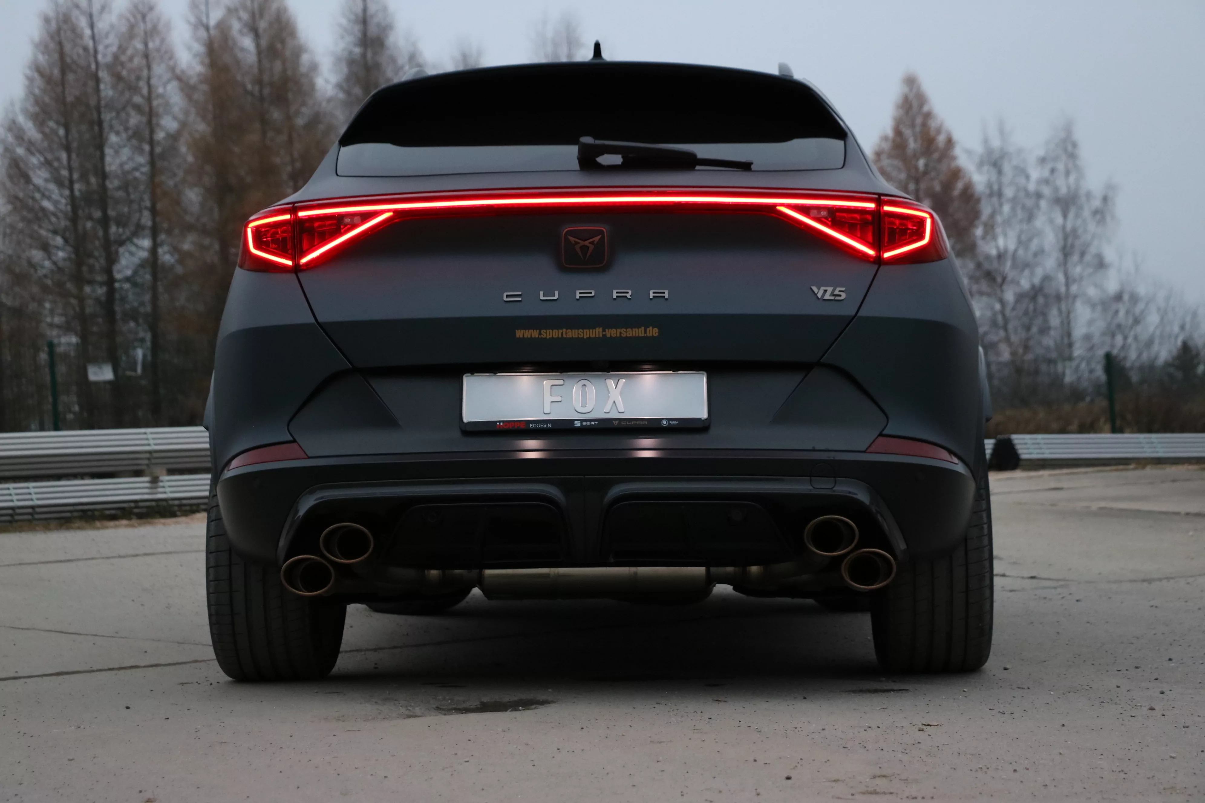 CUPRA Formentor 4x4 - VZ5  Endschalldämpfer mit 2 Abgasklappen - 2x115x85 Typ 32 rechts/links Kupfer-Optik