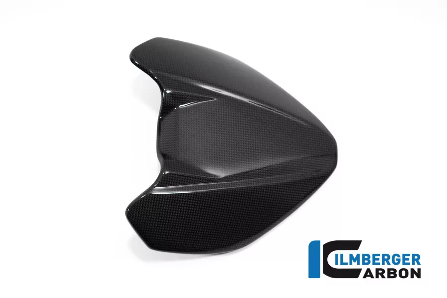Ilmberger Carbon Armaturenabdeckung glanz für Ducati Streetfighter V4 2020-