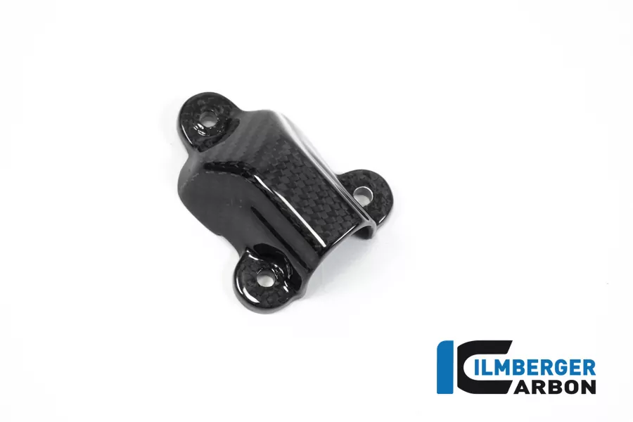 Ilmberger Carbon Wasserpumpendeckelabdeckung BMW S1000RR 2019-  M1000RR 2020- M1000R 2023-