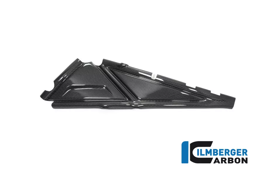 Rahmenheckcover links Carbon für BMW R1250GS (Adventure) ab 2019
