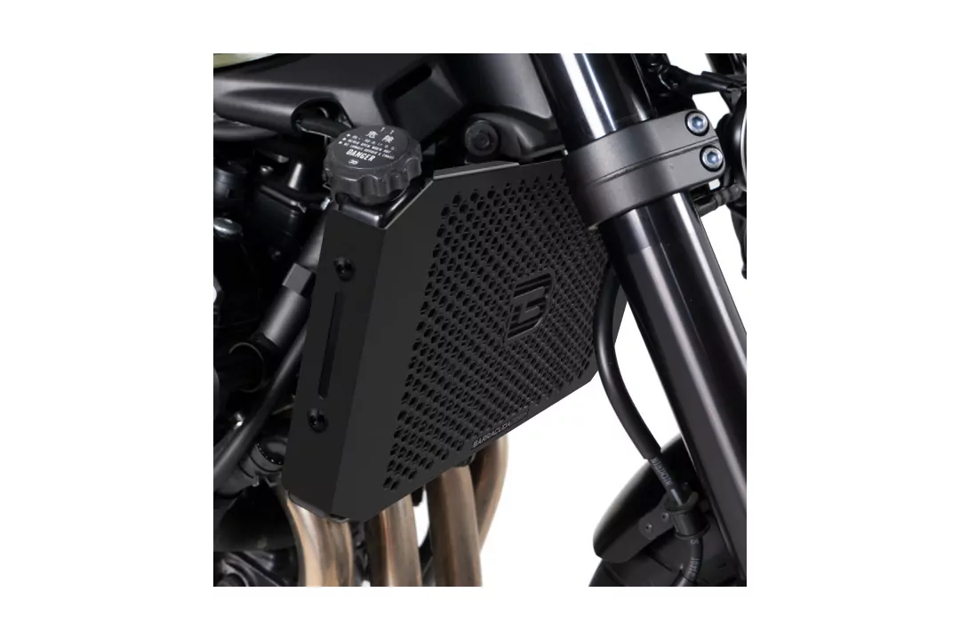 Barracuda Kühlerverkleidung für Kawasaki Z900RS Modelljahr 2018-2020