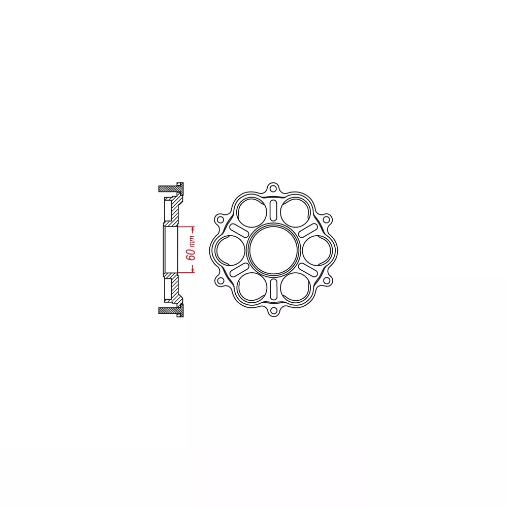 JT SPROCKETS Kettenradträger hinten - 6 Silentbloc Ducati Panigale/Monster