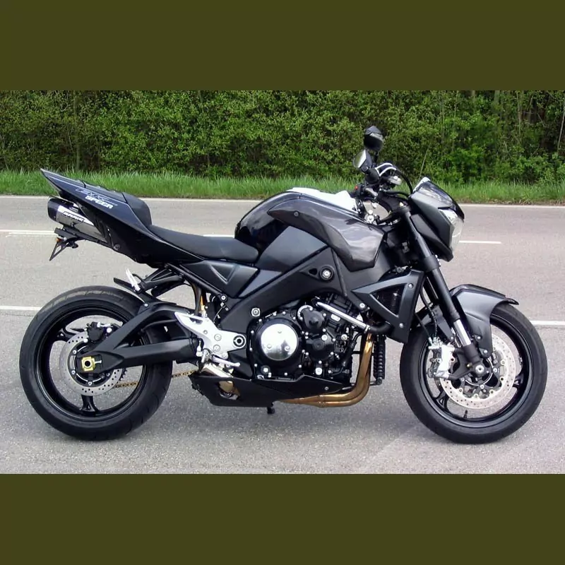 Bodis Q5 Auspuff Suzuki B-King 2007-