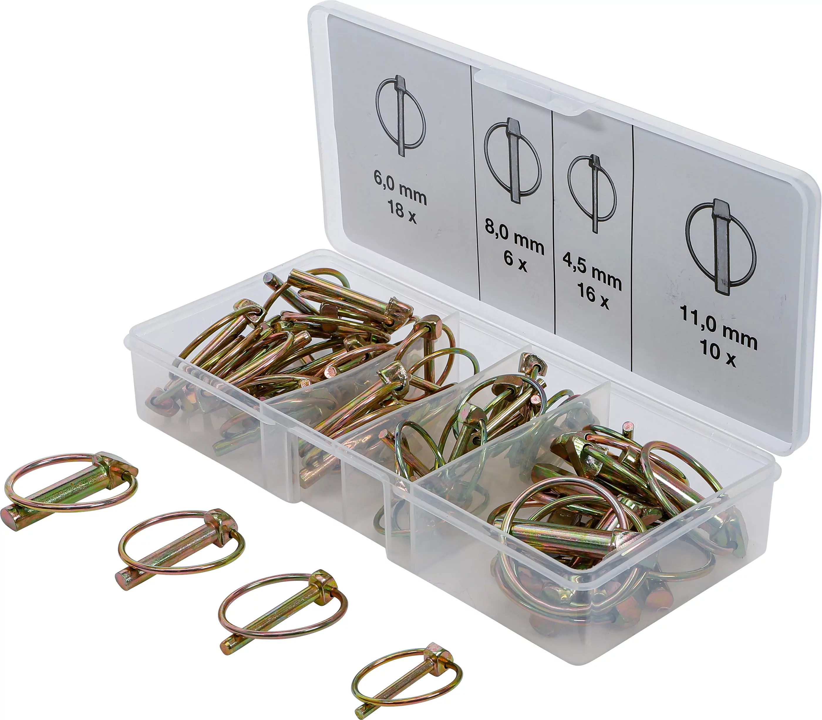 Klappsplinte-Sortiment | 50-tlg.